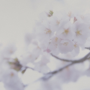 大乳女被狂揉gif图片
